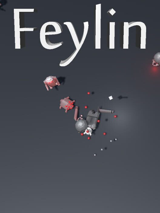 Copertina ufficiale di Feylin