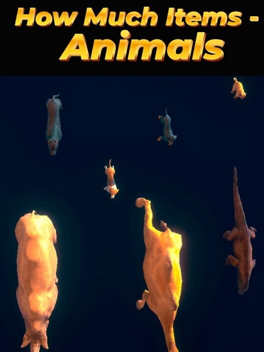 Copertina ufficiale di How Much Items: Animals